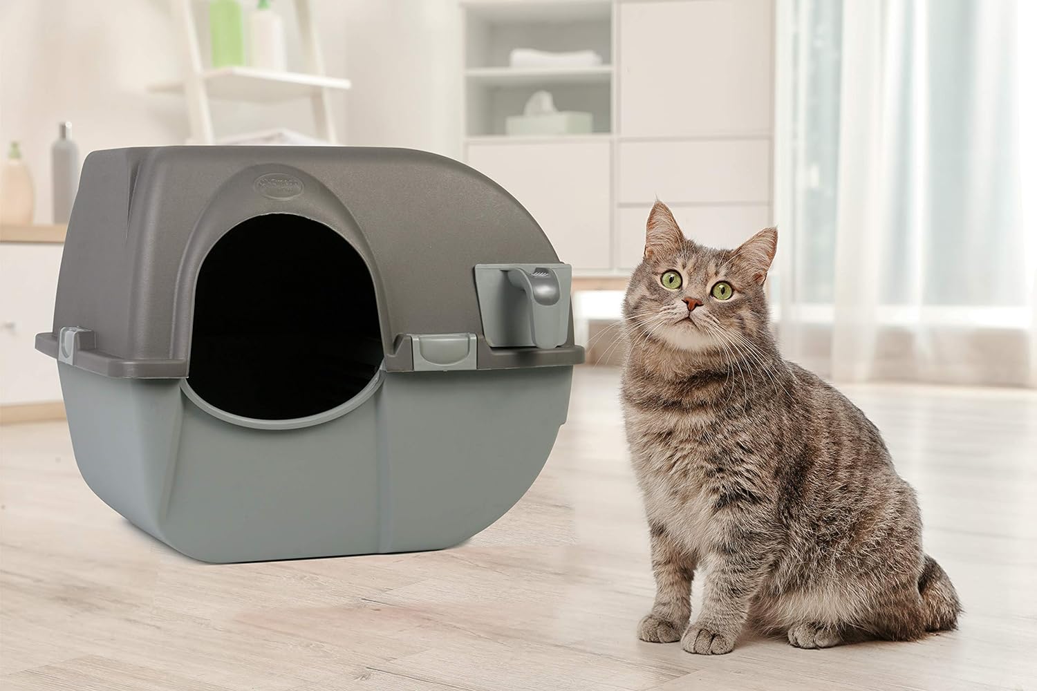 Roll 'N Clean Self Cleaning Litter Box, Brown, Large